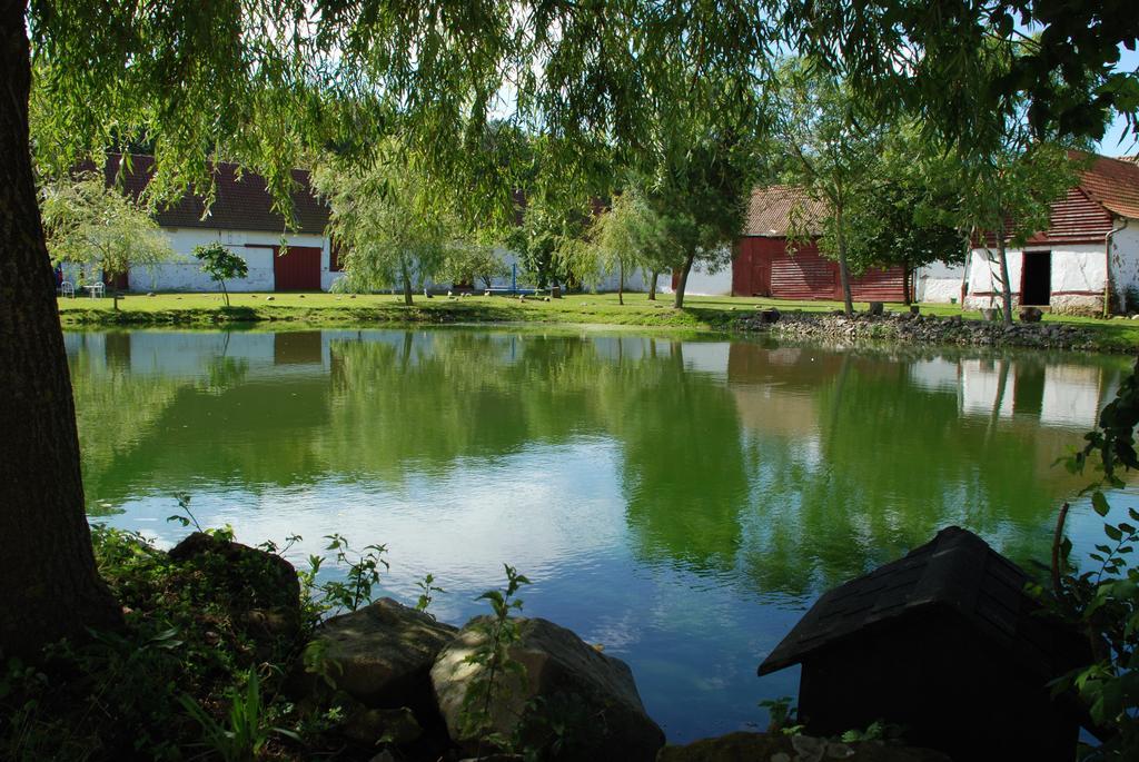 Domaine De Collen Bed & Breakfast Lépine Eksteriør bilde